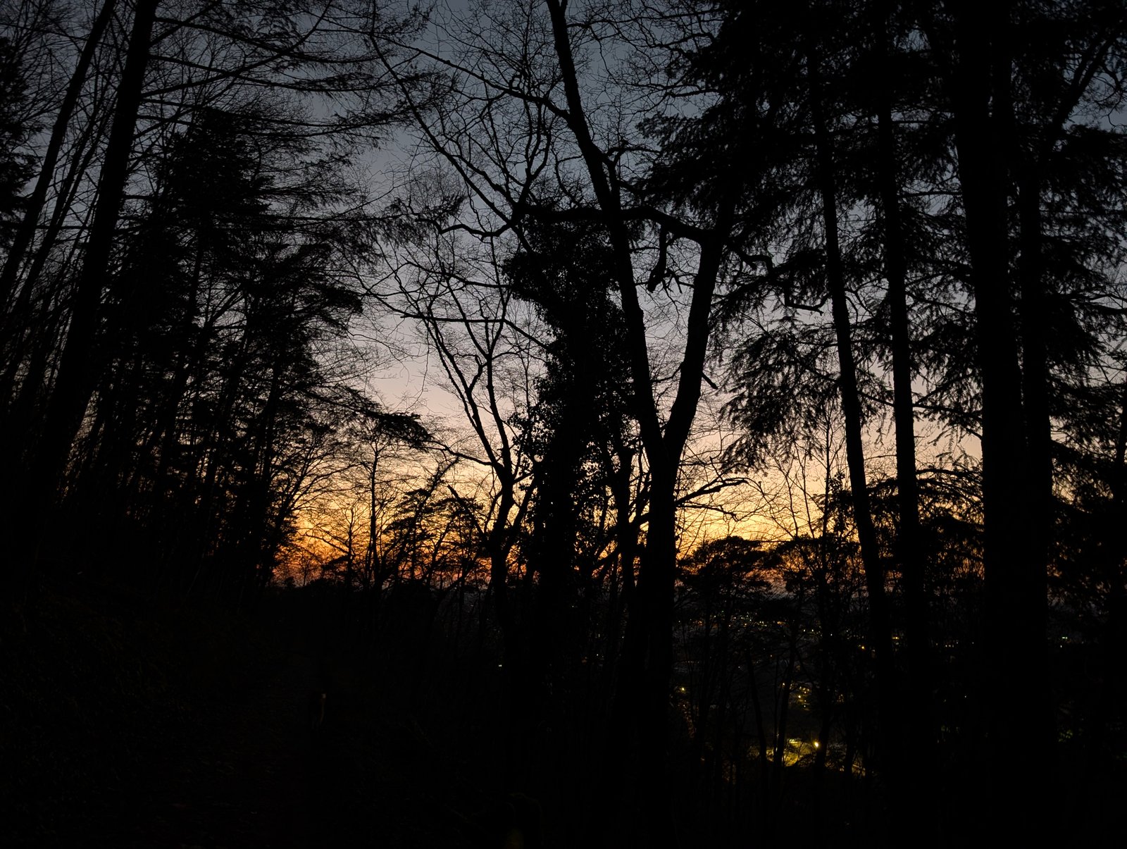Paysages 